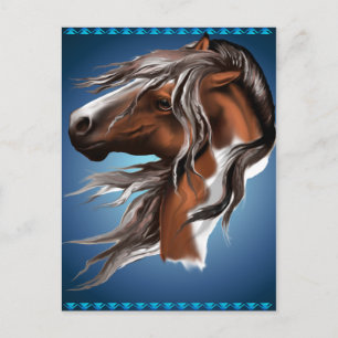 Paint Horse Face Postcard Postkarte