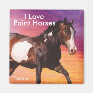 Paint Horse galopant soleil levant Magnet
