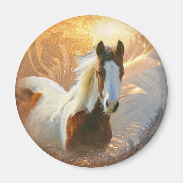 Paint Horse Gold Magnet (Vorne)