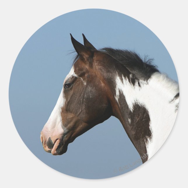 Paint Horse Headshot 1 Runder Aufkleber (Vorderseite)