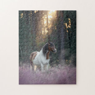Paint Horse in a Field