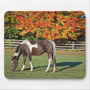 Paint Horse in Herbstweide Mousepad