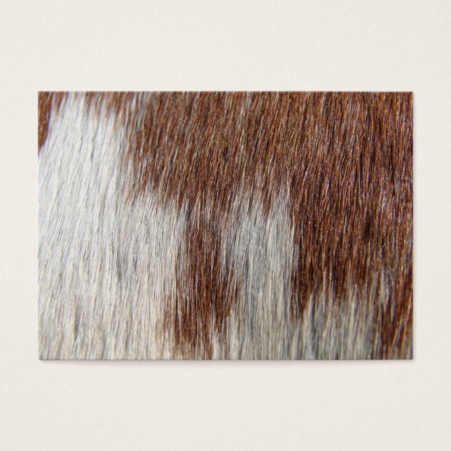 Paint Horse Pattern (Vorderseite)
