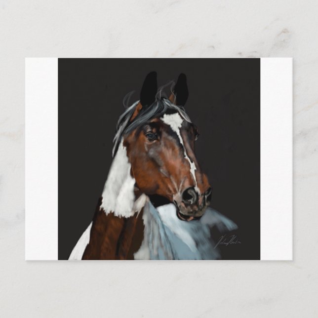 Paint Horse Postkarte (Vorderseite)