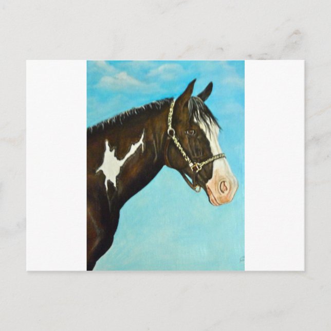 Paint Horse Postkarte (Vorderseite)