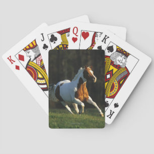 Paint Horse Running Fast Spielkarten