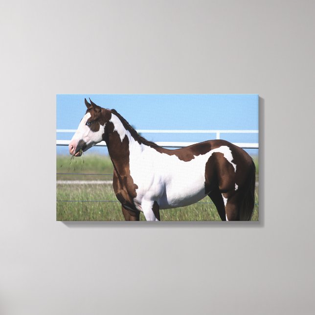 Paint Horse Stehend Leinwanddruck (Vorderseite)