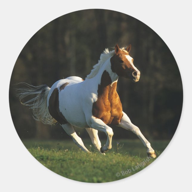 Paint Horse wird schnell ausgeführt Runder Aufkleber (Vorderseite)