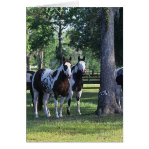 Paint Horses in the Trees