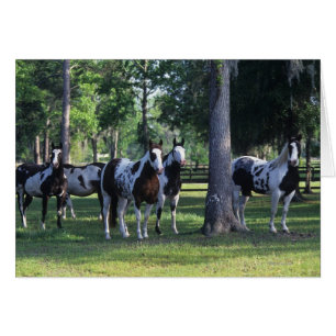 Paint Horses in the Trees