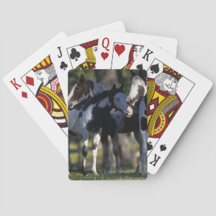 Paint Horses Spielkarten