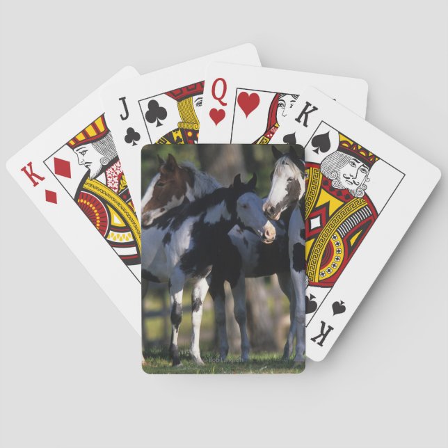 Paint Horses Spielkarten (Rückseite)