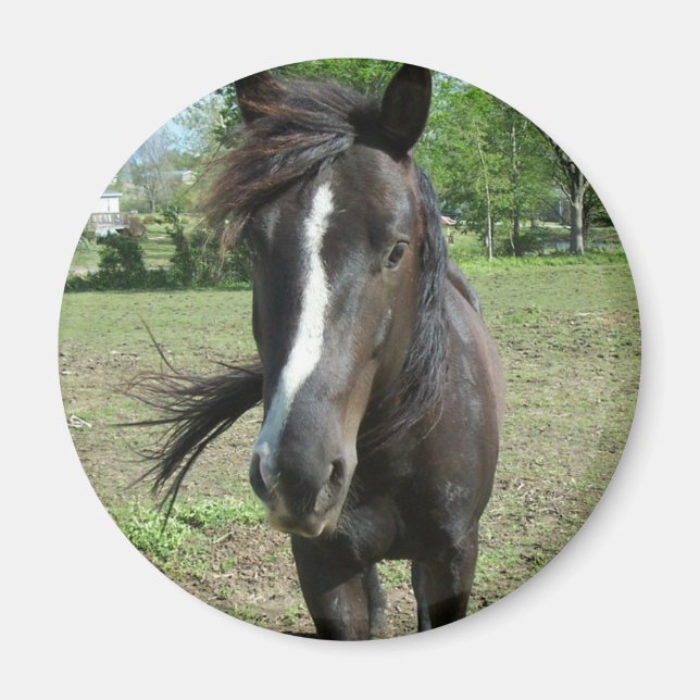 Paint Magnet (Vorne)