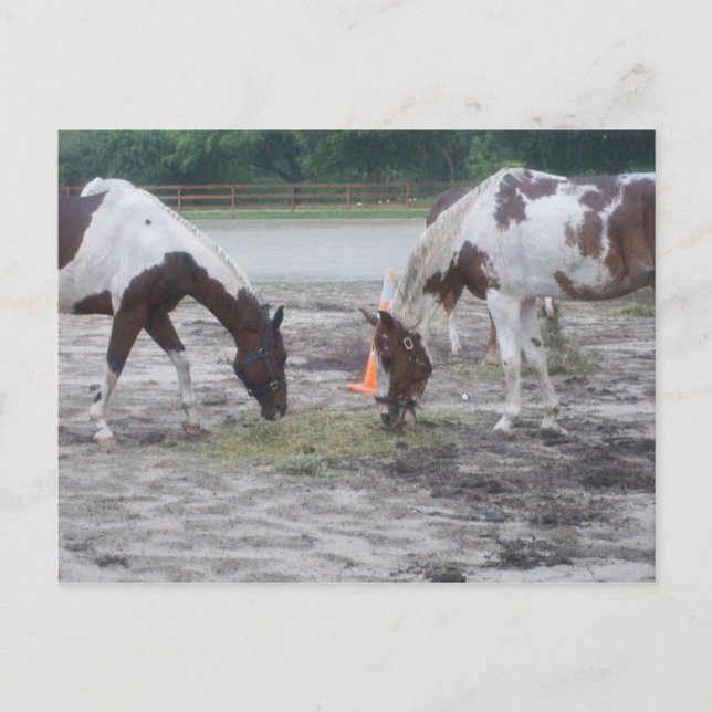 Paint/Pin Postkarte (Vorderseite)