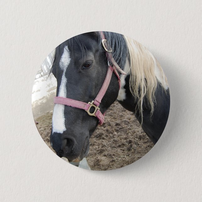 Paint Pinto Pferd Button (Vorderseite)