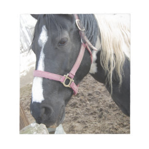 Paint Pinto Pferd Notizblock