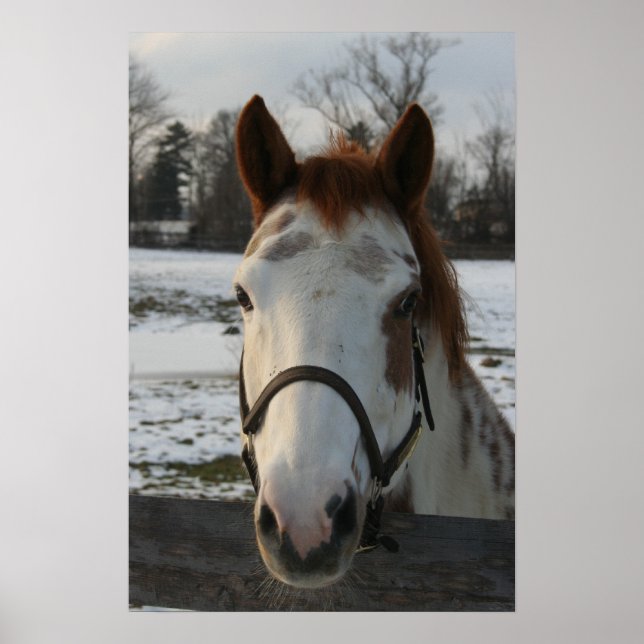Paint Poster (Vorne)