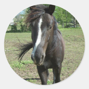 Paint Runder Aufkleber