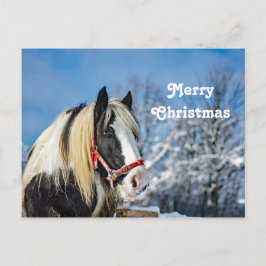 Paint Snow Foto Weihnachten Postkarte