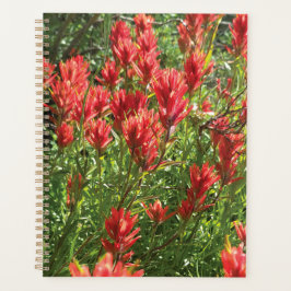 Paintbrush Planner Planer