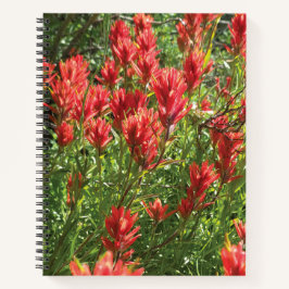 Paintbrush Spiral Notebook Notizbuch