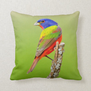 Painted Bunting Kissen