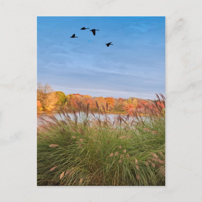 Painted Connecticut Herbst Postkarte (Vorderseite)