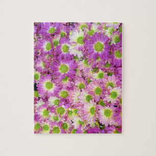 Painted Daisy