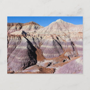 Painted Desert Petrified Forest National Park Postkarte