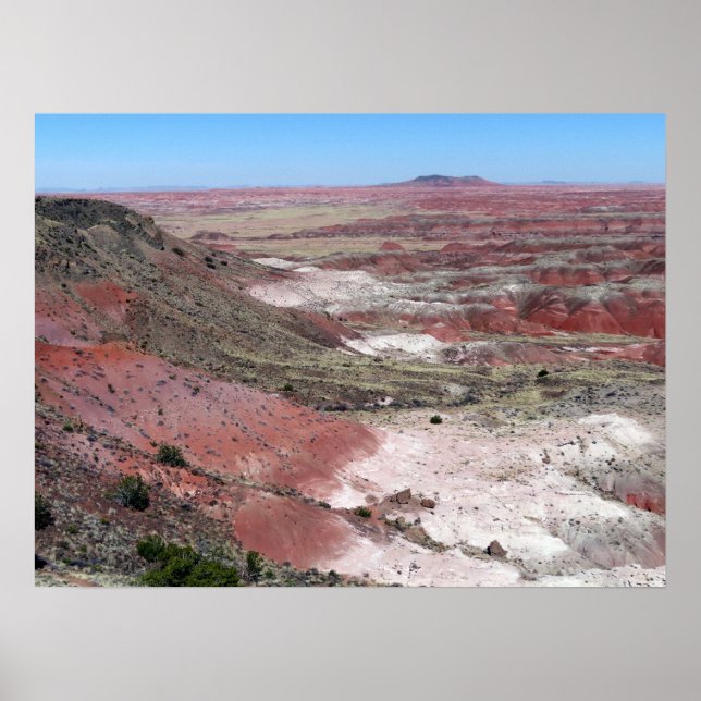 Painted Desert Rim Vista Poster (Vorne)