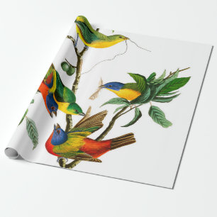 Painted Finch von John James Audubon Geschenkpapier