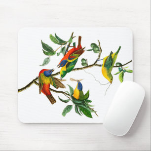 Painted Finch von John James Audubon Mousepad