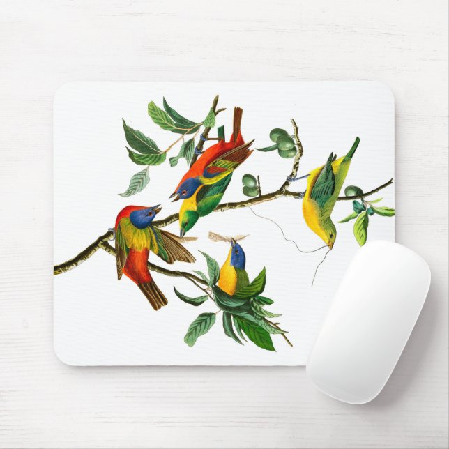 Painted Finch von John James Audubon Mousepad (Mit Mouse)