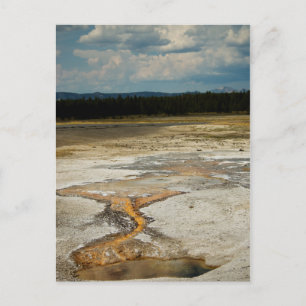 Painted Grounds Postcard Postkarte