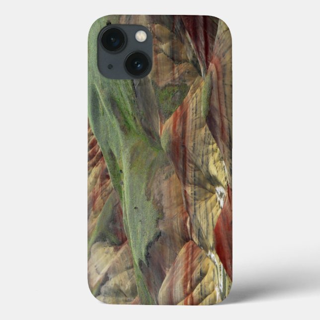 Painted Hills, John Day Fossil Beds, Mitchell Case-Mate iPhone Hülle (Rückseite)
