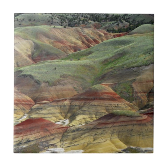 Painted Hills, John Day Fossil Beds, Mitchell Fliese (Vorderseite)