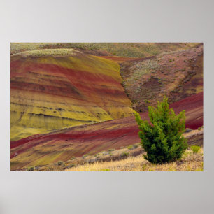 Painted Hills, Mitchell, Oregon, USA Poster