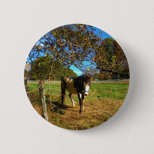Painted Horse, Button (Vorderseite)