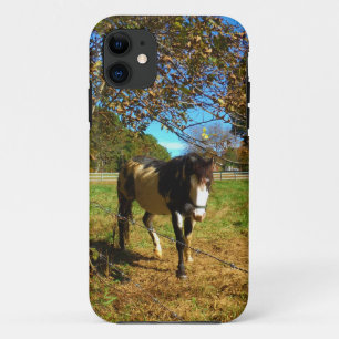Painted Horse, iPhone 11 Hülle
