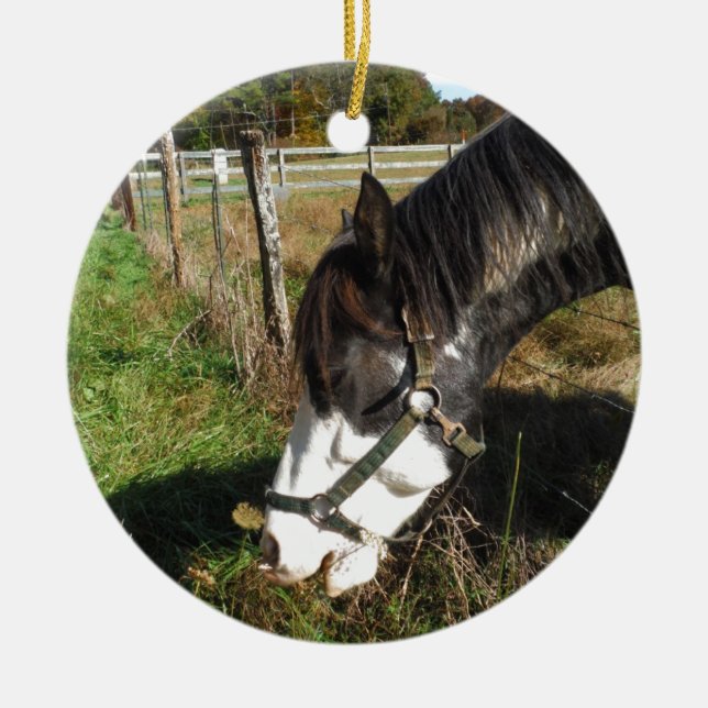 Painted Horse, Eating Queen Ann Lace Blume Keramik Ornament (Vorne)