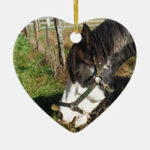 Painted Horse, Eating Queen Ann Lace Blume Keramik Ornament