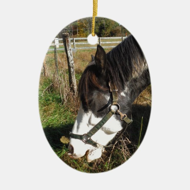 Painted Horse, Eating Queen Ann Lace Blume Keramikornament (Vorne)