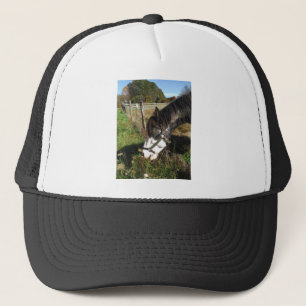 Painted Horse, Eating Queen Ann Lace Blume Truckerkappe