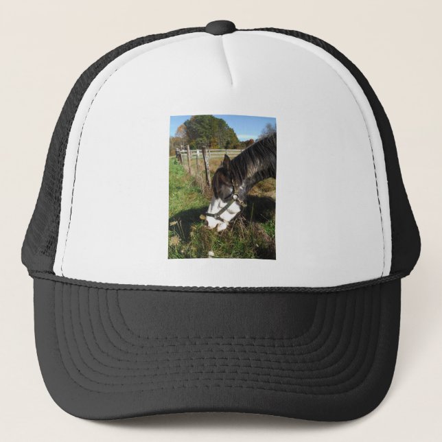 Painted Horse, Eating Queen Ann Lace Blume Truckerkappe (Vorderseite)
