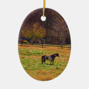 Painted Horse in the Distance Keramikornament