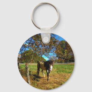 Painted Horse, Schlüsselanhänger