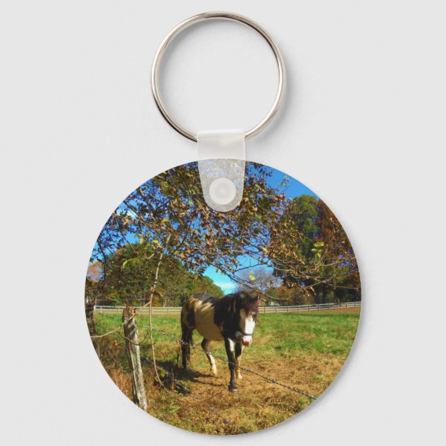 Painted Horse, Schlüsselanhänger (Vorderseite)