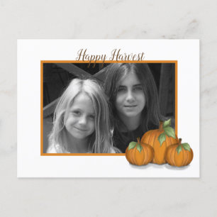 Painted Pumpkins Holiday Postkarte