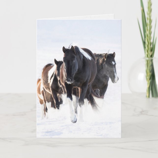 "Painted Snow Day II" - Carte de voeux de Chevaux  (Devant)