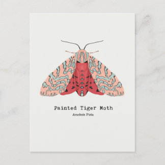 Painted Tiger Moth Postkarte